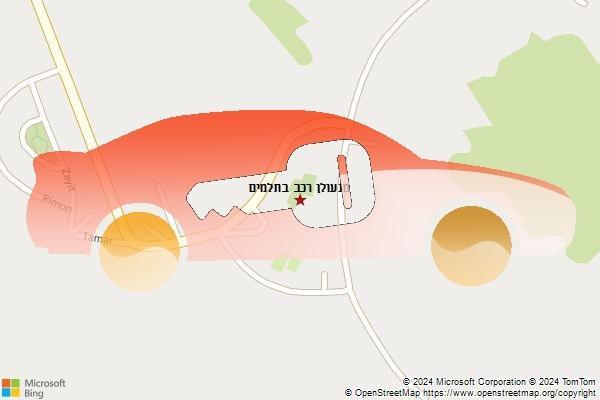 מנעולן רכב בתלמים
