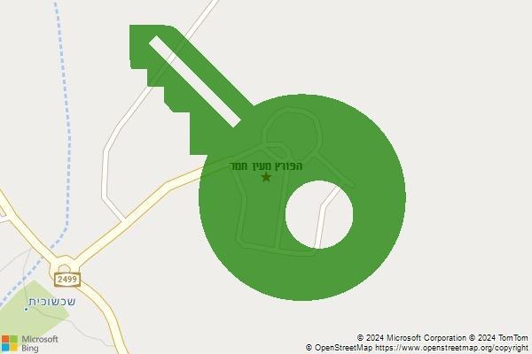 הפורץ מעין תמר