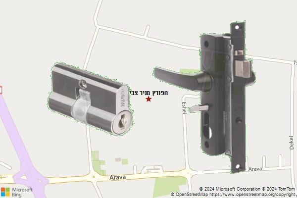 הפורץ מניר צבי
