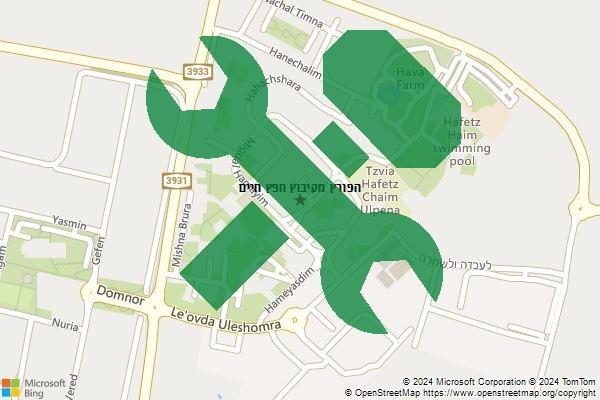 הפורץ מקיבוץ חפץ חיים