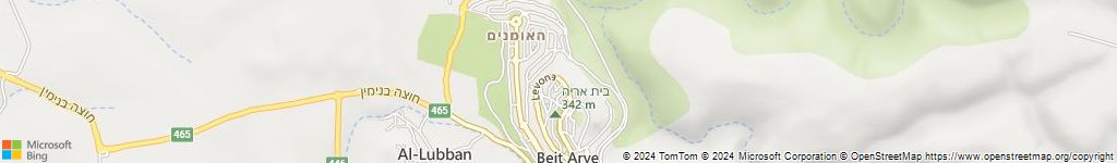 מנעולנים און ליין בבית אריה