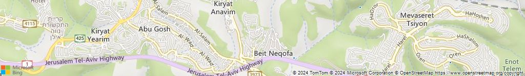 מנעולנים און ליין בבית נקופה