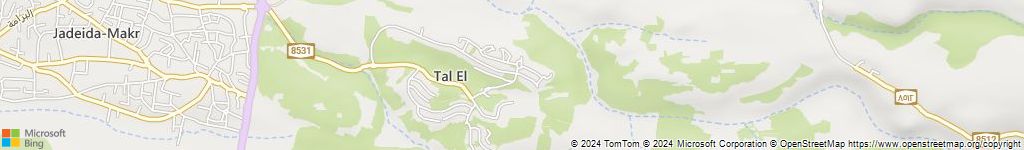 מנעולנים און ליין בטל אל