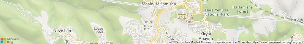 מנעולנים און ליין בידידה
