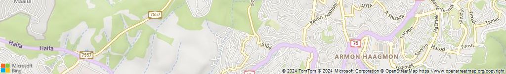 מנעולנים און ליין ביפיע