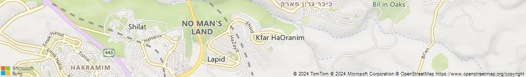 מנעולנים און ליין בכפר האורנים