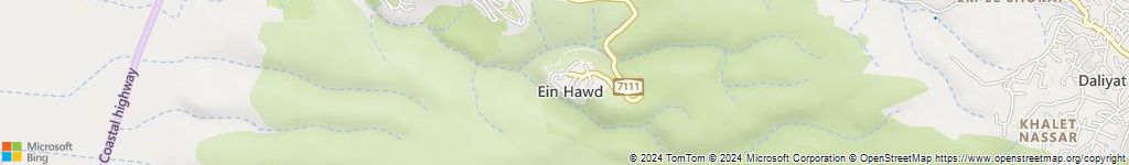 מנעולנים און ליין בכפר עין חוד