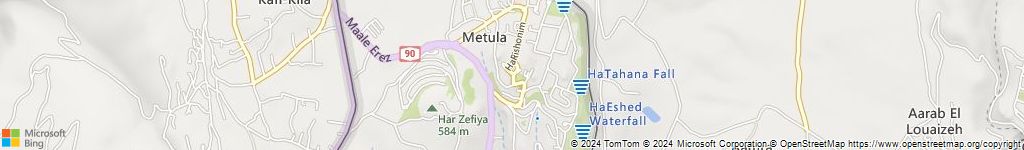 מנעולנים און ליין במטולה