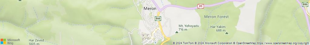 מנעולנים און ליין במירון
