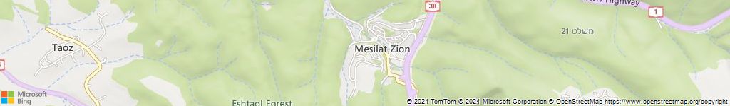 מנעולנים און ליין במסילת ציון
