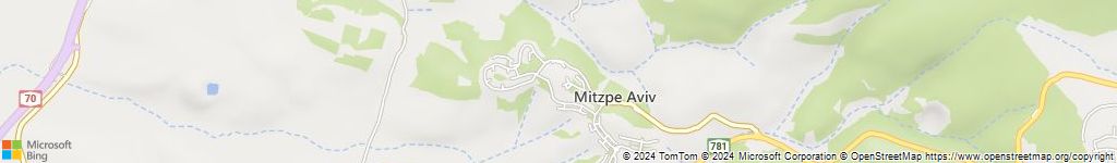 מנעולנים און ליין במצפה אביב