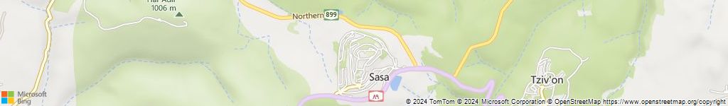 מנעולנים און ליין בקיבוץ סאסא
