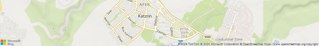 מנעולנים און ליין בקצרין