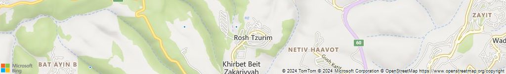 מנעולנים און ליין בראש צורים
