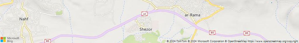 מנעולנים און ליין בשזור