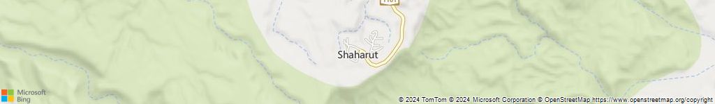 מנעולנים און ליין בשחרות