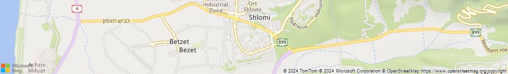 מנעולנים און ליין בשלומי