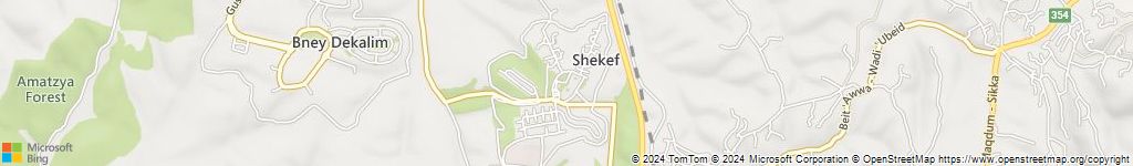 מנעולנים און ליין בשקף
