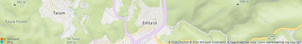 מנעולנים און ליין בגבעון החדשה
