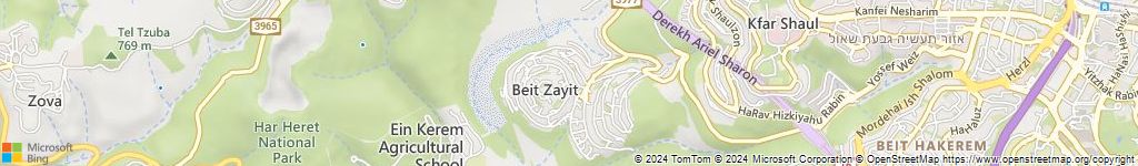 מנעולנים און ליין בגת רימון