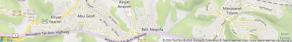 מנעולני רכב בבית נקופה