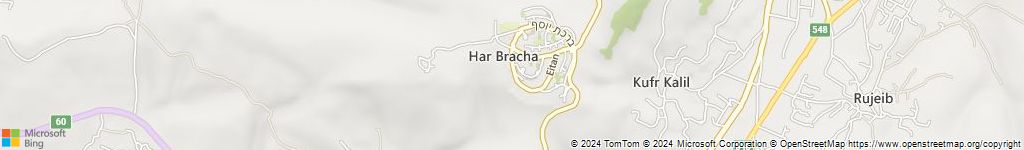 מנעולנים און ליין בקיבוץ מעגן