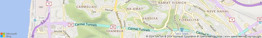 מנעולנים און ליין בנופית