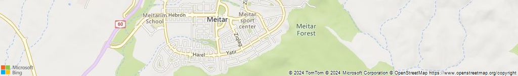 מנעולנים און ליין בצופין