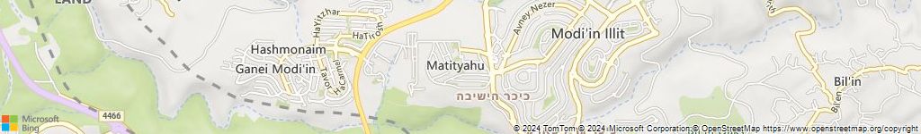 מנעולני רכב במתתיהו