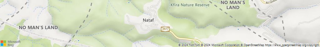 מנעולני רכב בנטף
