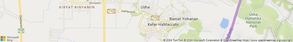 מנעולנים און ליין בכפר ריינה