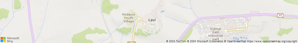 מנעולנים און ליין בתלמי יפה