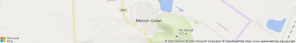 ביריה