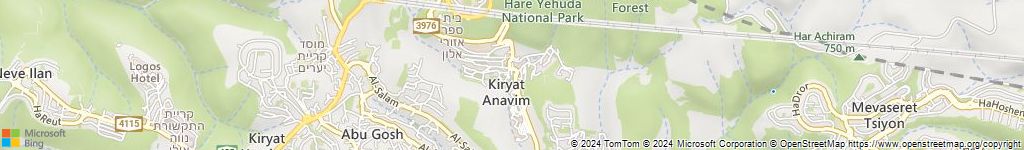 מנעולני רכב בקיבוץ קרית ענבים