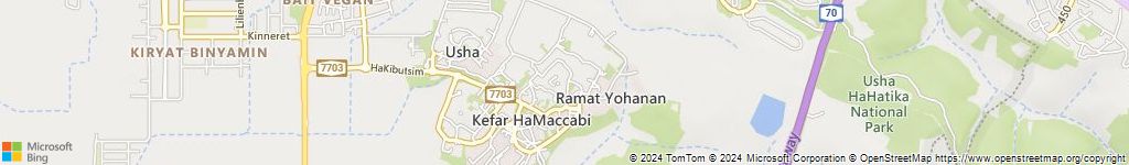 מנעולני רכב בקיבוץ רמת יוחנן