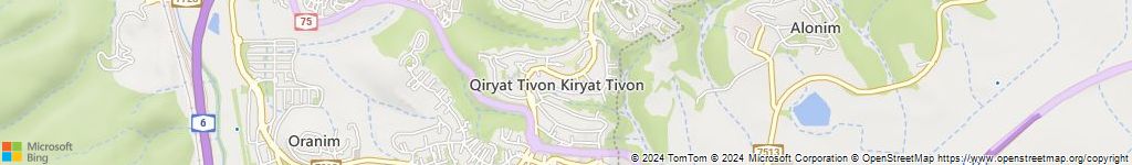מנעולני רכב בקריית טבעון