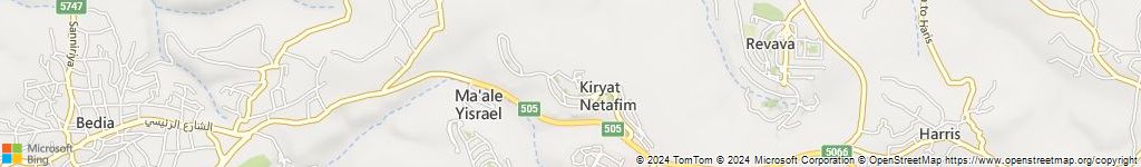 מנעולני רכב בקריית נטפים