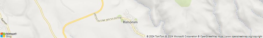 נירית