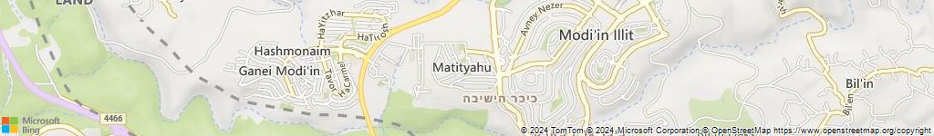 מתתיהו