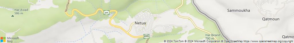 נטועה