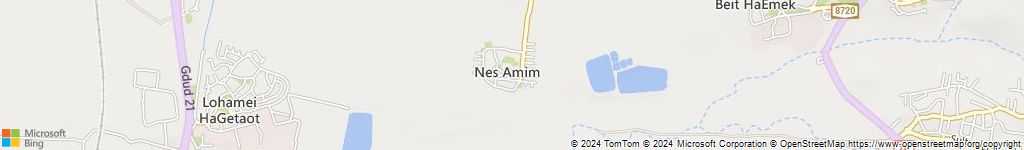 נס עמים